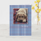 3756私は残念な子犬です カード (黄色い花)