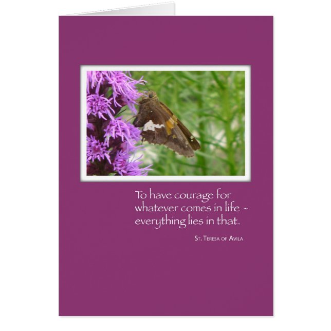 37798勇気バタフライ花上 (正面)