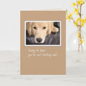 3780元気になれ、犬 カード (黄色い花)