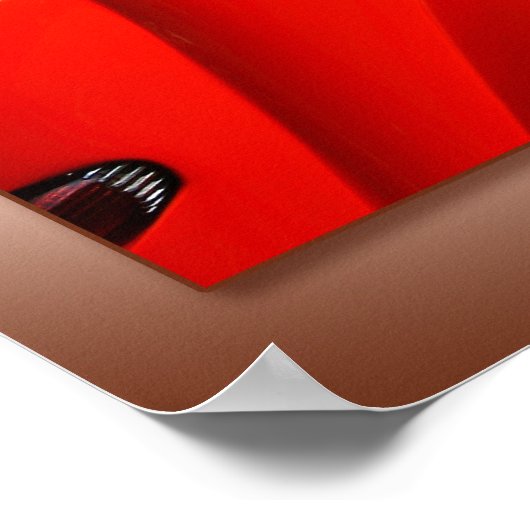 38特殊 ポスター (角)