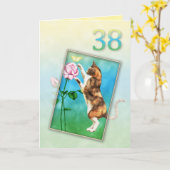 38誕生日と猫よくはしゃぐの カード (黄色い花)