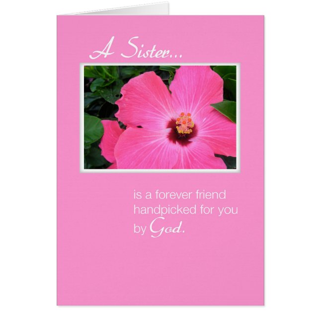 3829ピンクシスター (正面)