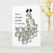 3919 Dalmation犬および猫のおもしろいな誕生日 カード (黄色い花)