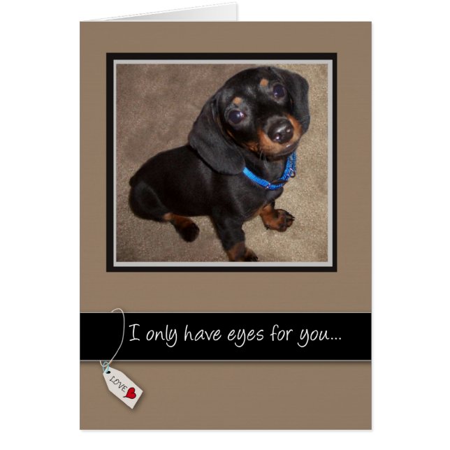 3938愛する犬 (正面)