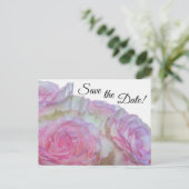 3998 – 白とピンクのバラ ポストカード (スタンド正面)