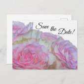 3998 – 白とピンクのバラ ポストカード (正面/裏面)