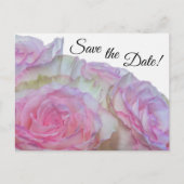 3998 – 白とピンクのバラ ポストカード (正面)