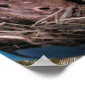 3 つ並んで ポスター (角)