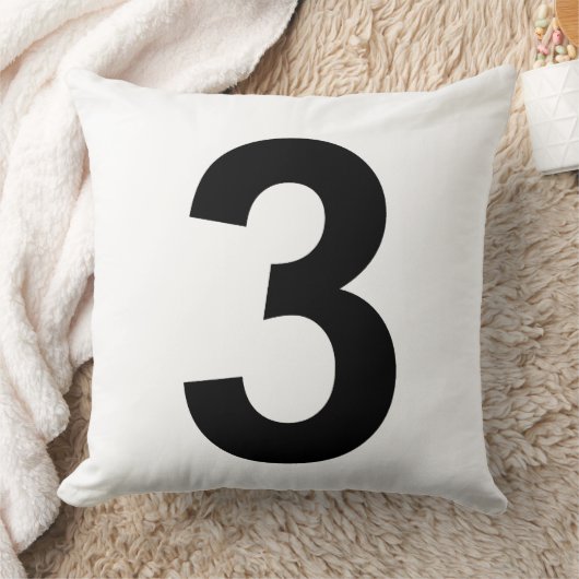 3 クッション (ブランケット)