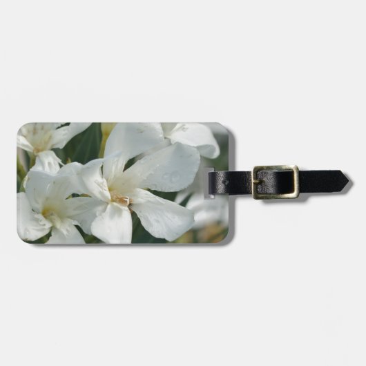 3 ラゲッジタグ (正面横)