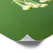 3（昆虫）オオカバマダラ、モナークキャタピオンミルクウィード ポスター (角)