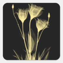 3 枚の X 線写真の花 ワインボトルラベル