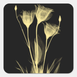 3 枚の X 線写真の花 ワインボトルラベル スクエアシール