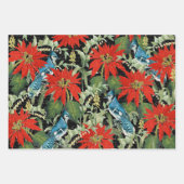 3（鳥）ショウジョウコウカンチョウジェイ冬の鳥コラージュエフエメラシート ラッピングペーパーシート (正面2)