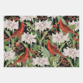 3（鳥）ショウジョウコウカンチョウジェイ冬の鳥コラージュエフエメラシート ラッピングペーパーシート (正面)