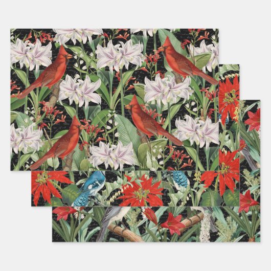 3（鳥）ショウジョウコウカンチョウジェイ冬の鳥コラージュエフエメラシート ラッピングペーパーシート (セット)