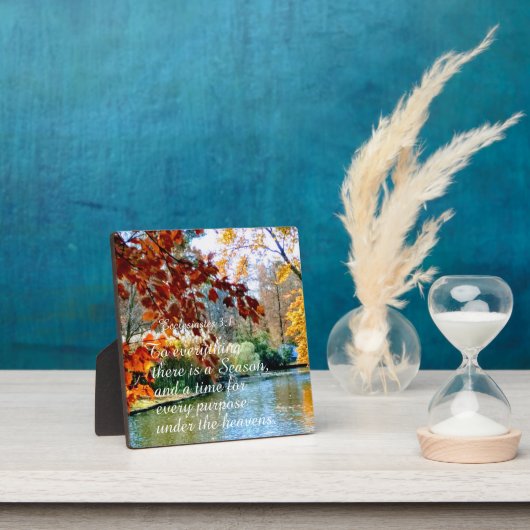 3:1のエクスクレシアが季節のあるものすべてに フォトプラーク (インサイチュ)