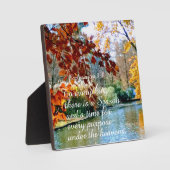 3:1のエクスクレシアが季節のあるものすべてに フォトプラーク (正面)