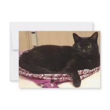 3.5インチx 5インチフラットグリーティングカード