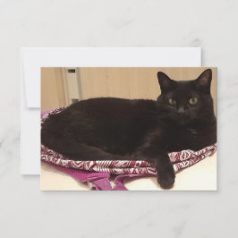 3.5インチx 5インチフラットグリーティングカード カード