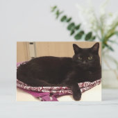 3.5インチx 5インチフラットグリーティングカード カード (スタンド正面)