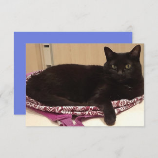 3.5インチx 5インチフラットグリーティングカード カード