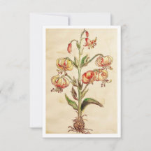 3.5インチx 5インチフラットサンキューカード