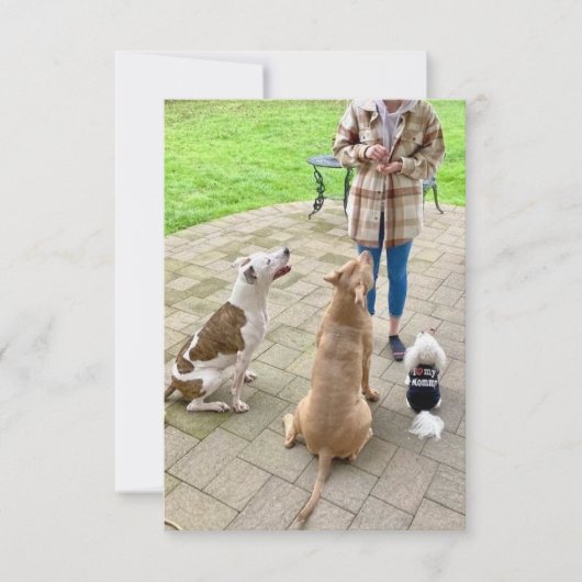 3.5インチx 5インチフラットサンキューカード サンキューカード (正面)