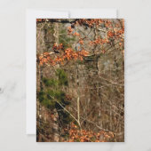 3.5 x 6 Directions Card Dear Couple Doe Buck迷彩柄 招待状 (裏面)