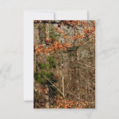 3.5x5 返信カード 狩猟用 鹿の頭 キャモ (裏面)