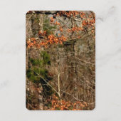 3.5x5 返信カード 鹿のカップル 牝鹿 オス鹿 カモフラージュ (裏面)