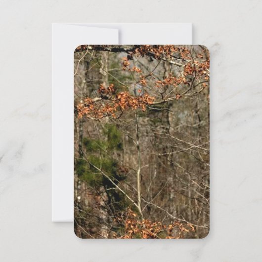 3.5x5 R.S.V.P.カードディアカップルDoeバック迷彩柄 招待状 (裏面)