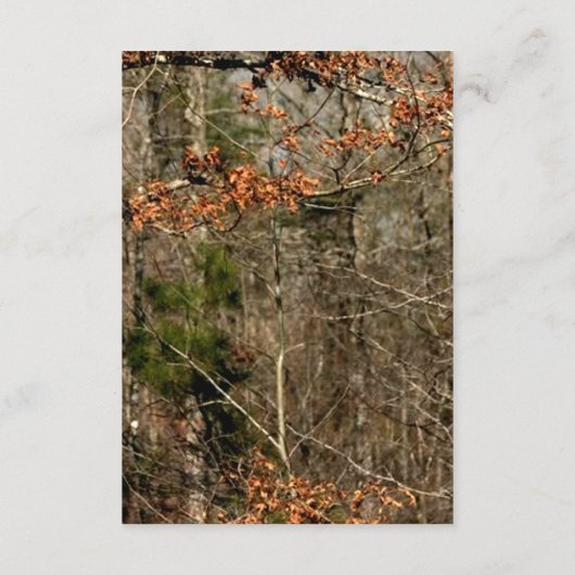 3.5x7披露宴カードシカのカップルの雌ジカの木びき台の迷彩柄 エンクロージャーカード (裏面)