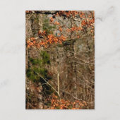 3.5x7 受付カード 鹿のカップル 牝鹿 雄鹿 カモフラージュ エンクロージャーカード (裏面)