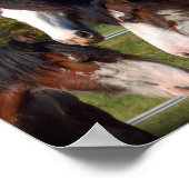 3 Clydesdaleヘッズプリント ポスター (角)