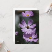 3 Cosmos – フラットグリーティングカード カード (正面/裏面インサイチュ)