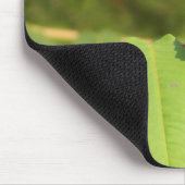 3-D蝶 マウスパッド (コーナー)