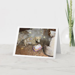 3-D First Christmas カード