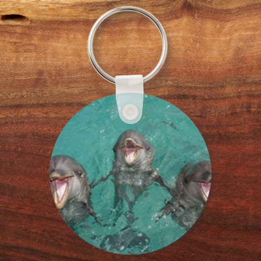 3 Dolphins キーホルダー (正面)