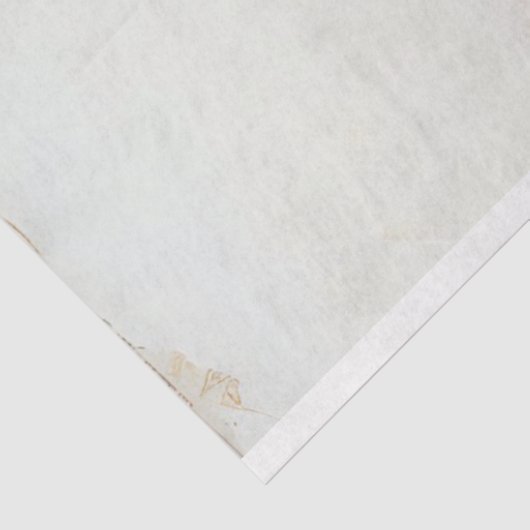 3 Giraffe Decompage紙水色 薄葉紙 (詳細)