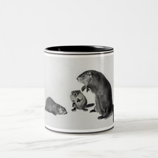 3 Groundhogs ツートーンマグカップ (中央)