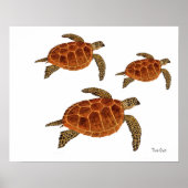 3 Hawksbill Turtles ポスター (正面)