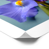 3 Irisesポスター ポスター (角)