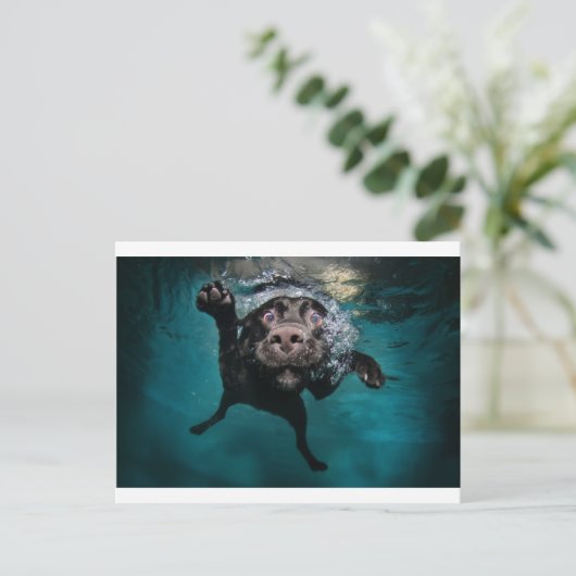 3.jpeg ポストカード (スタンド正面)