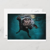 3.jpeg ポストカード (正面/裏面)