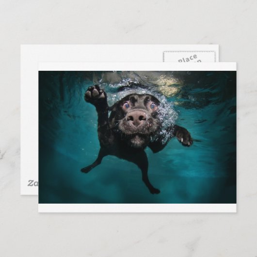 3.jpeg ポストカード (正面/裏面)