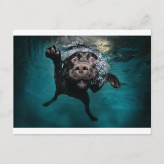 3.jpeg ポストカード