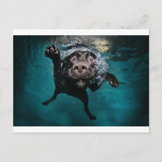 3.jpeg ポストカード (正面)