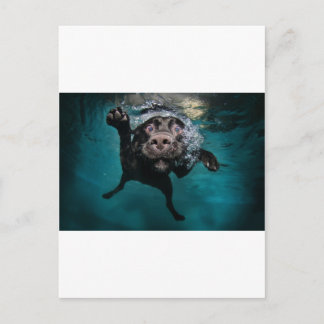 3.jpeg ポストカード