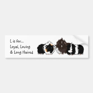 3 long haired piggies bumper sticker バンパーステッカー